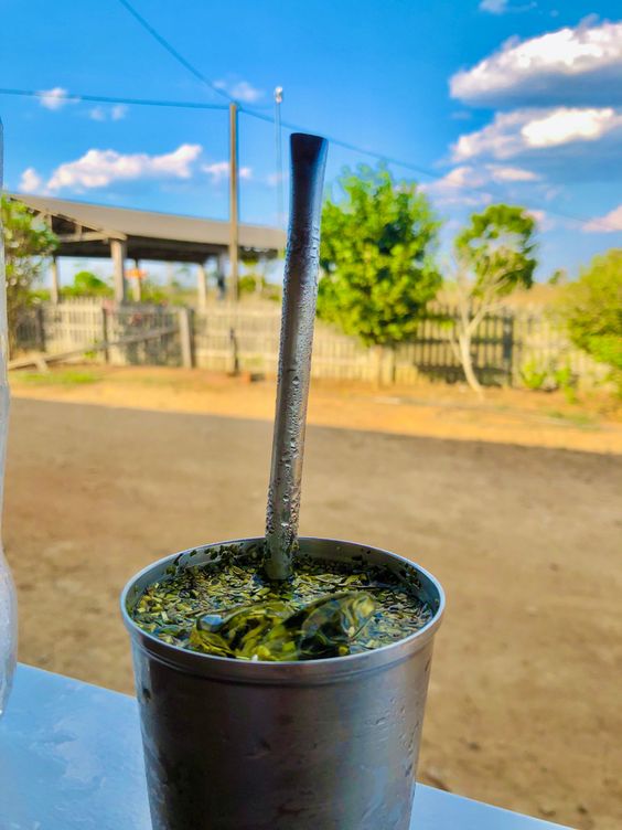 Refresque-se em Ji-Paraná: os top 3 lugares para um tereré gelado nesse calor!!
