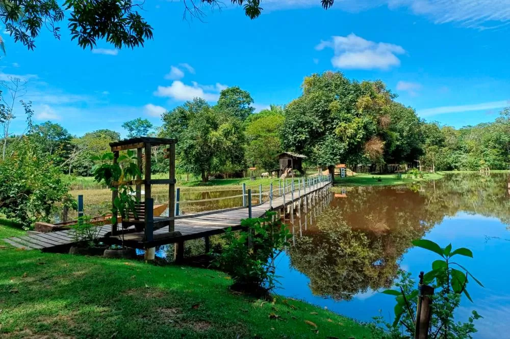 Café Colonial Flor de Ipê: Conheça um refúgio gastronômico com café e almoço em Ji-Paraná